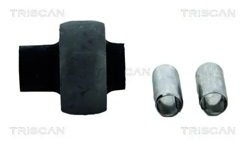 TRISCAN 850065826 Подвеска