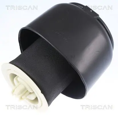 TRISCAN 872011201 Пневматическая рессора,