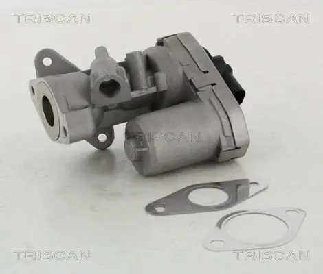 TRISCAN 881310002 Клапан