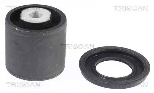TRISCAN 850065827 Подвеска