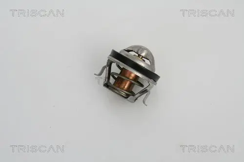 862019988 
