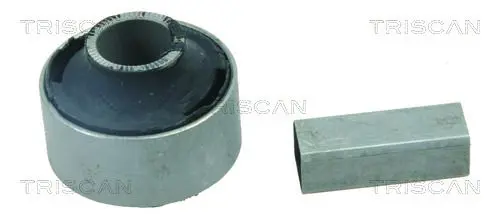 TRISCAN 850013800 Подвеска