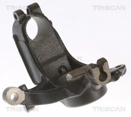 TRISCAN 850028703 Поворотный кулак, подвеска