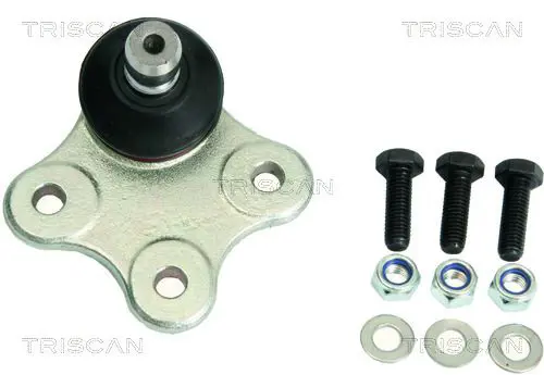 TRISCAN 850010556 Шарнир