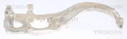 TRISCAN 850029710 Поворотный кулак, подвеска