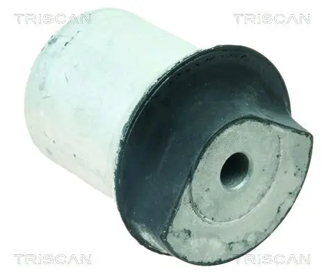 TRISCAN 850024843 Подвеска