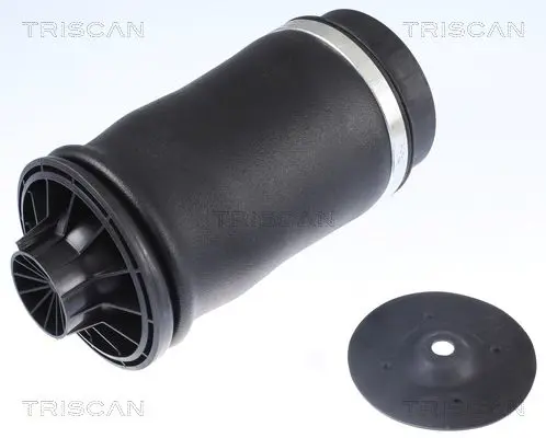 TRISCAN 872023204 Пневматическая рессора,