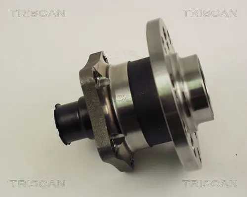 TRISCAN 853029218 Комплект подшипника