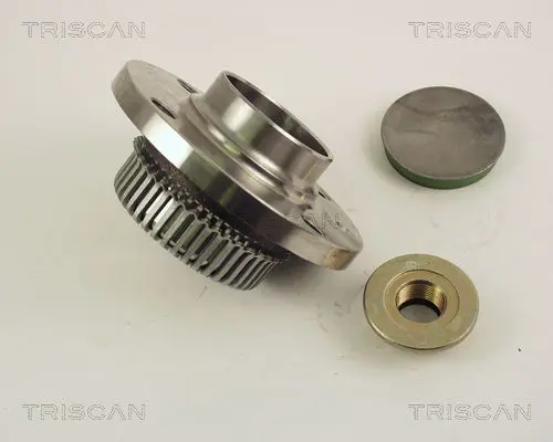 TRISCAN 853029221 Комплект подшипника