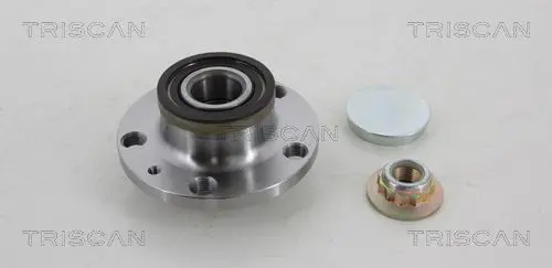 TRISCAN 853029223 Комплект подшипника