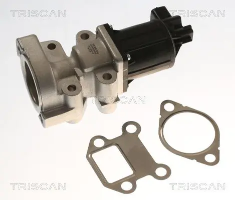 TRISCAN 881324018 Клапан возврата ОГ