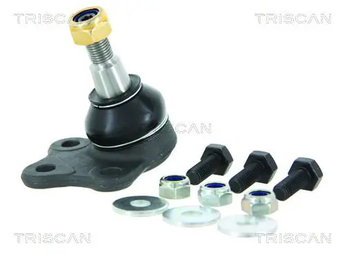 TRISCAN 850010567 Шарнир