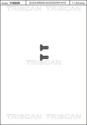 TRISCAN 8105116006 Комплект болтов, тормозной