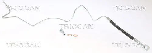 TRISCAN 815029361 Тормозной шланг