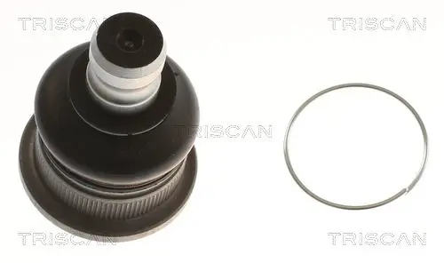 TRISCAN 850025544 Шарнир