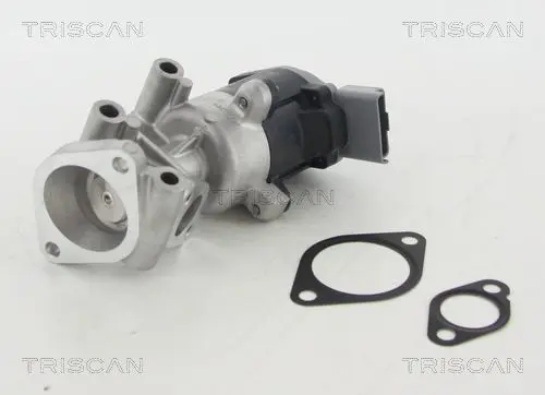 TRISCAN 881310009 Клапан