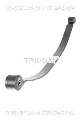 TRISCAN 876516051 Многолистовая рессора