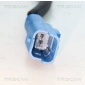 TRISCAN 818028107