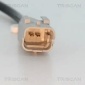 TRISCAN 818028128