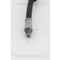 TRISCAN 815038107