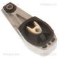 TRISCAN 850528102