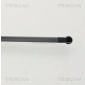 TRISCAN 871013293
