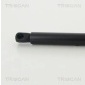 TRISCAN 871013293