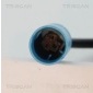 TRISCAN 818017204
