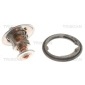 TRISCAN 86205078