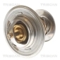 TRISCAN 86202387