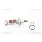 TRISCAN 813025129
