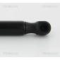 TRISCAN 8710292002