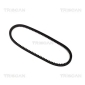 TRISCAN 8640110758