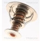 TRISCAN 86206182