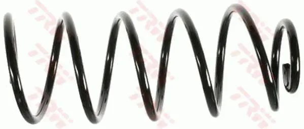 TRW JCS202 COIL SPRING