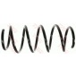 JCS199 COIL SPRING