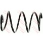 JCS779 COIL SPRING