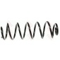 JCS245 COIL SPRING