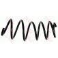 JCS874 COIL SPRING