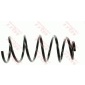 JCS119 COIL SPRING