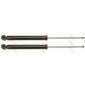 JGT483T TRW Амортизаторы подвески