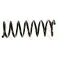 JCS550 TRW COIL SPRING