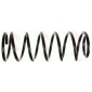 JCS904 TRW COIL SPRING
