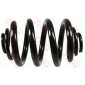 JCS108 TRW COIL SPRING