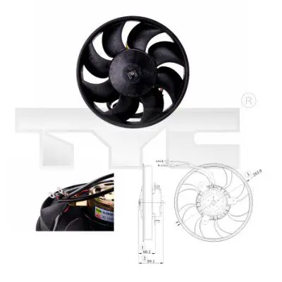  TYC 