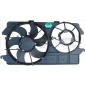 TYC 8100060
