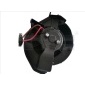 TYC 5020006