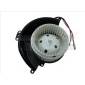 TYC 5250004