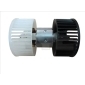TYC 5030005