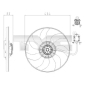TYC 8250019
